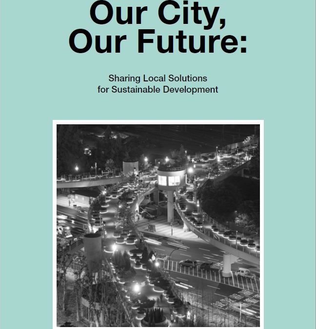 CITYNET Annual Report 2017