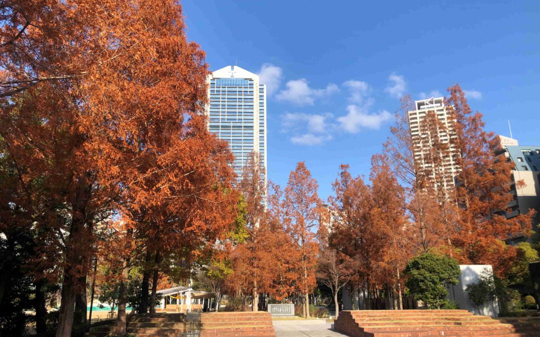 CityNet-Plus Arts Center for Creative Partnerships, December 2023